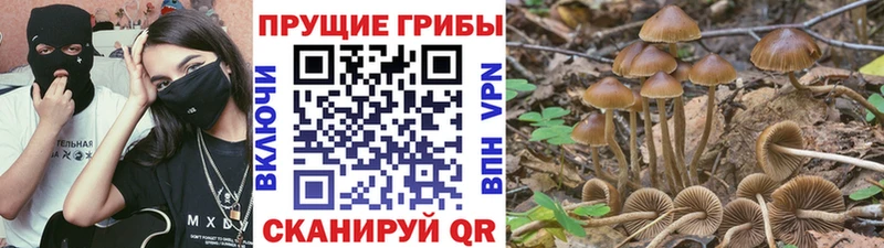 Галлюциногенные грибы ЛСД  ссылка на мегу как войти  Борзя  закладки 